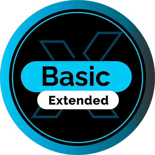 basic-extendida